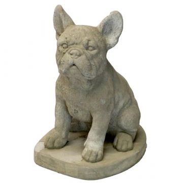 Frenchie