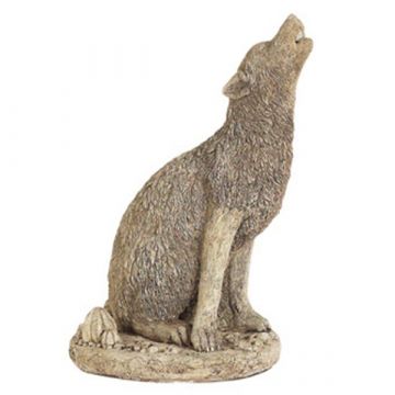 Howling Coyote