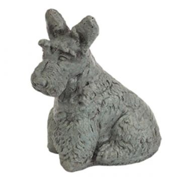 Scottie #3