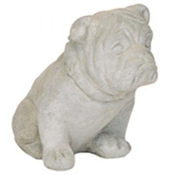 Small Bulldog