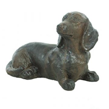 Small Sausage Dog
