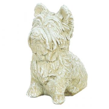 Westie